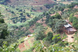 View of Kilungu Hills