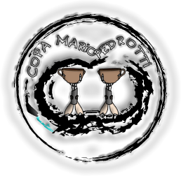 Página Oficial de la Pedrotti