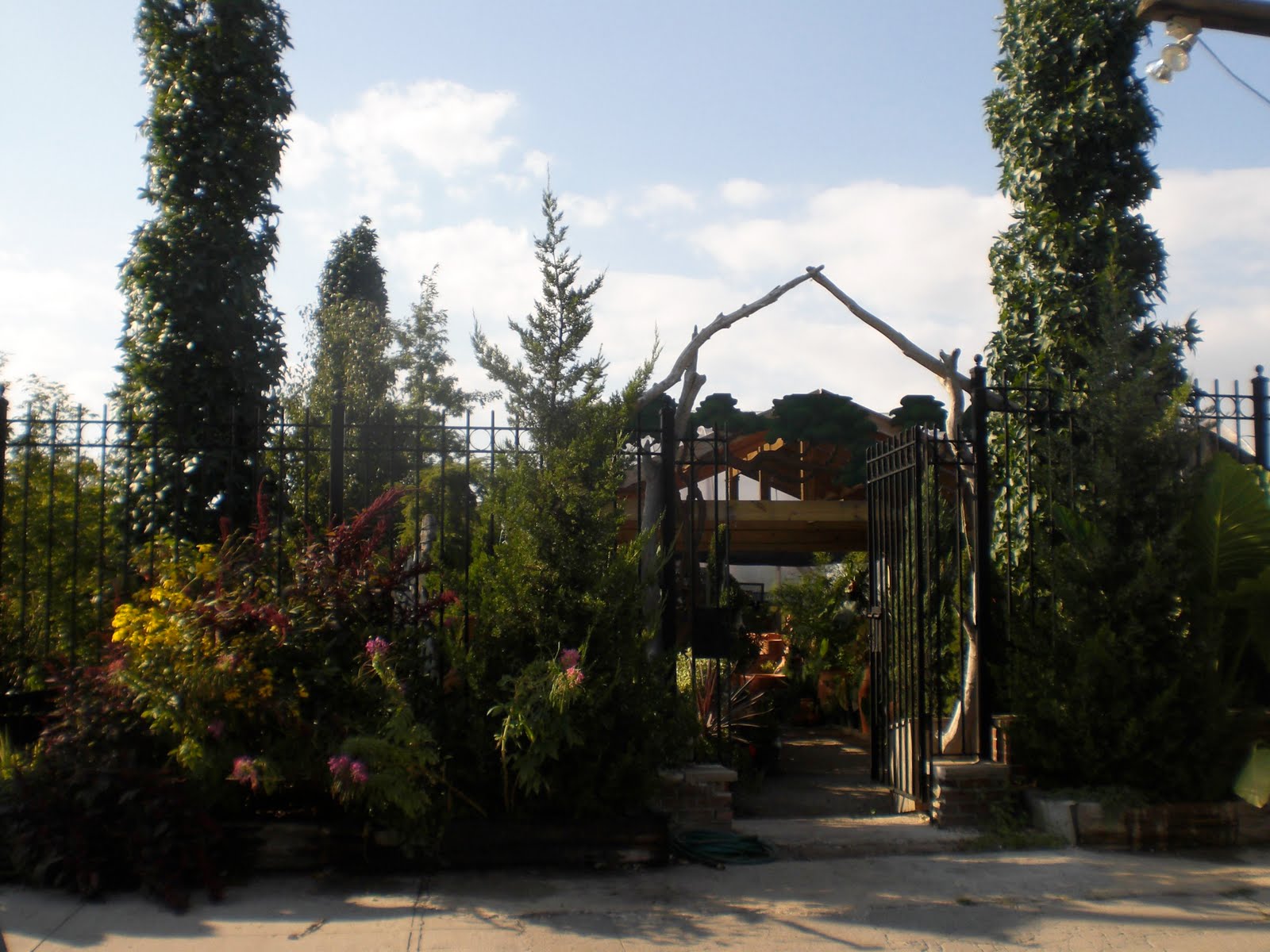 gardening in the boroughs of nyc A Red Hook Adventure