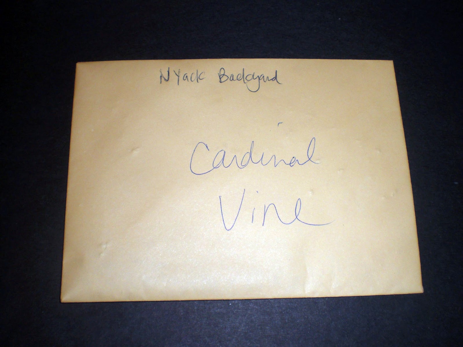 gardening in the boroughs of nyc: Pay It Forward!