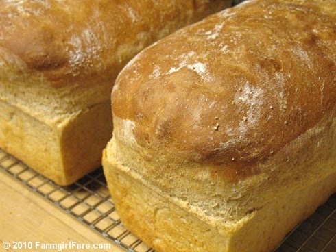 Farmgirl Fare: Ten Tips on How To Bake Better Artisan Breads at Home
