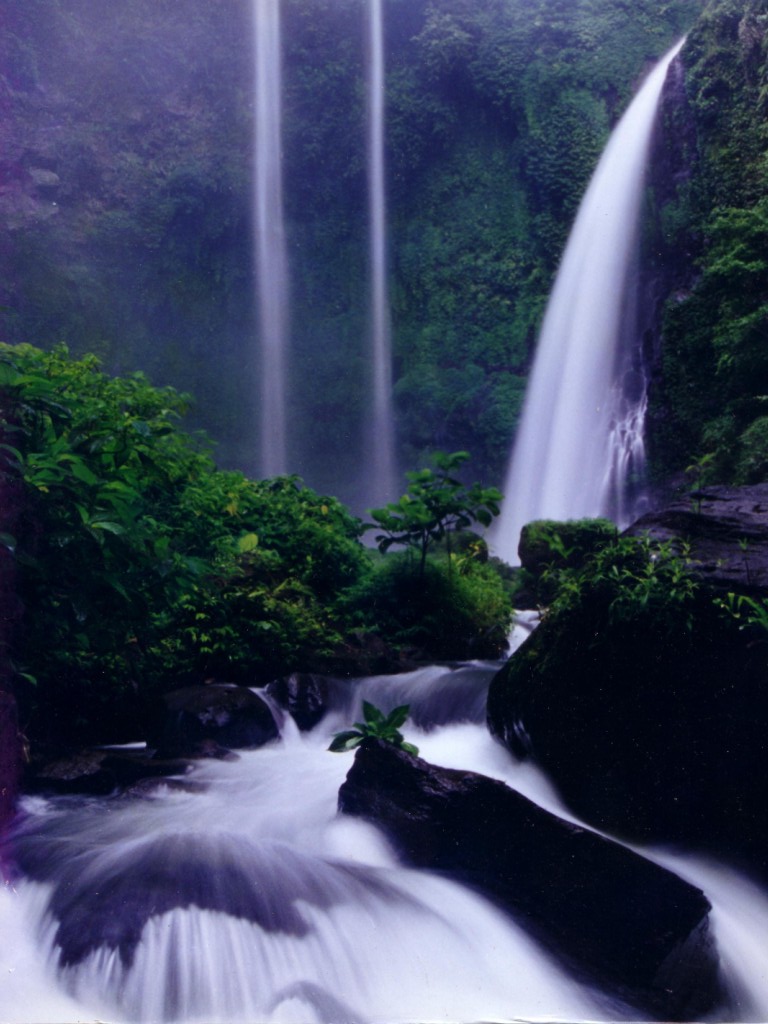 Wisata Alam Air Terjun Munduk Buleleng Bali | Travel Guide
