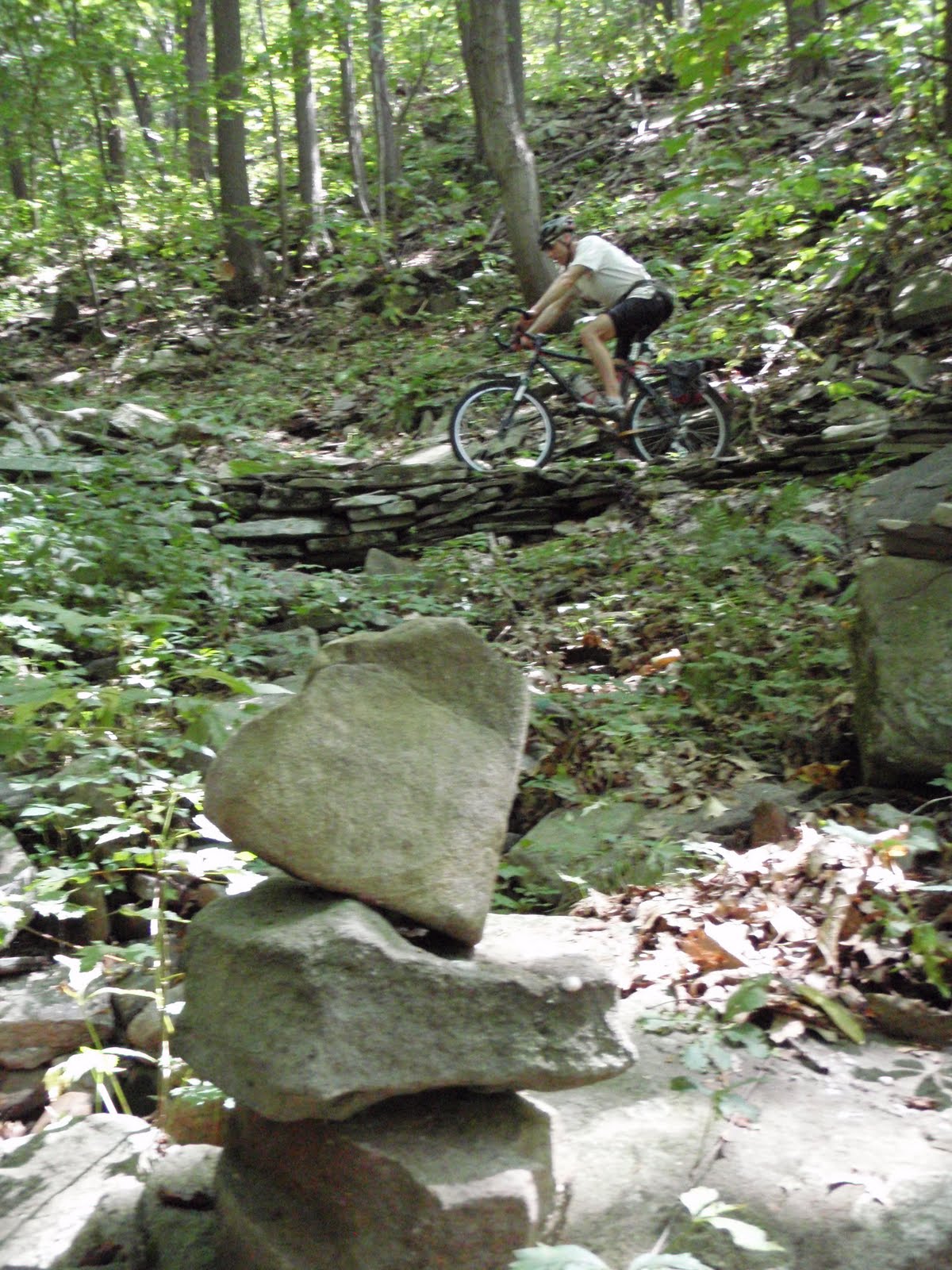 motoscotch Blue Knob PA, Mountain Biking
