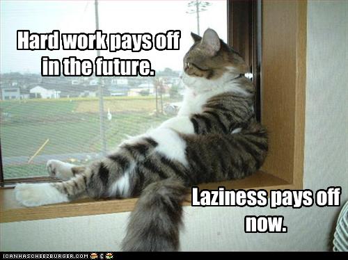 [funny-pictures-cat-is-lazy.jpg]