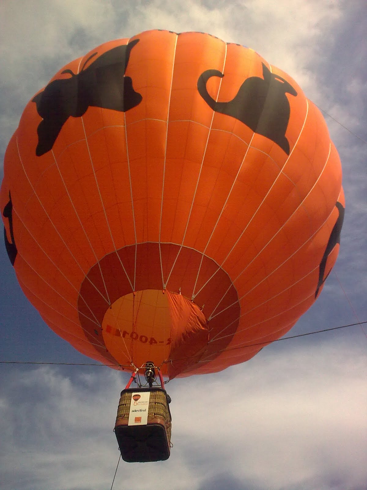 Alexandru Solomon: septembrie 2010