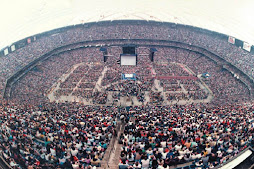 WRESTLEMANIA 3