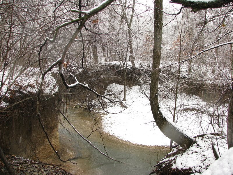 [IMG_3304_9.JPG]