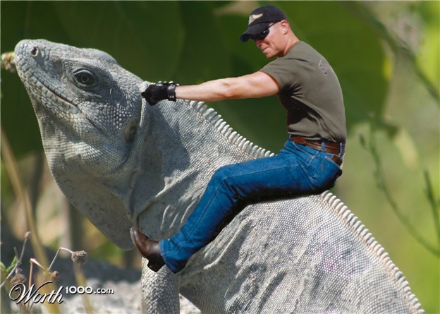 [photoshopped-transport-15.jpg]