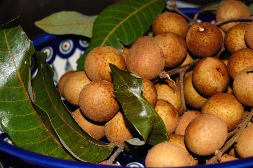 Give Peas a Chance Longan Season