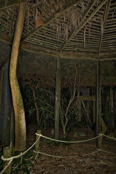 Photo courtesy Shane Perez