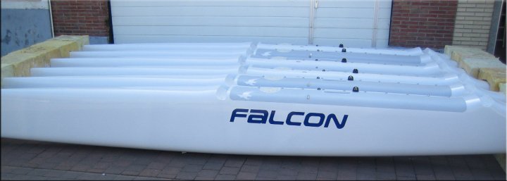 [falconbex3.jpg]