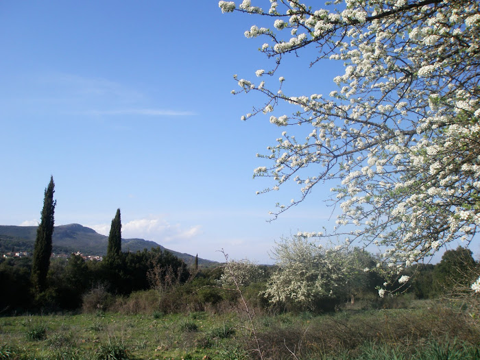 Μαχαιρα Ακαρνανιας [ Αποψη  απο το Σκορπστο ]