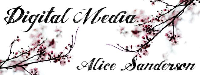 Digital Media