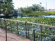 Everglades Florida 2006