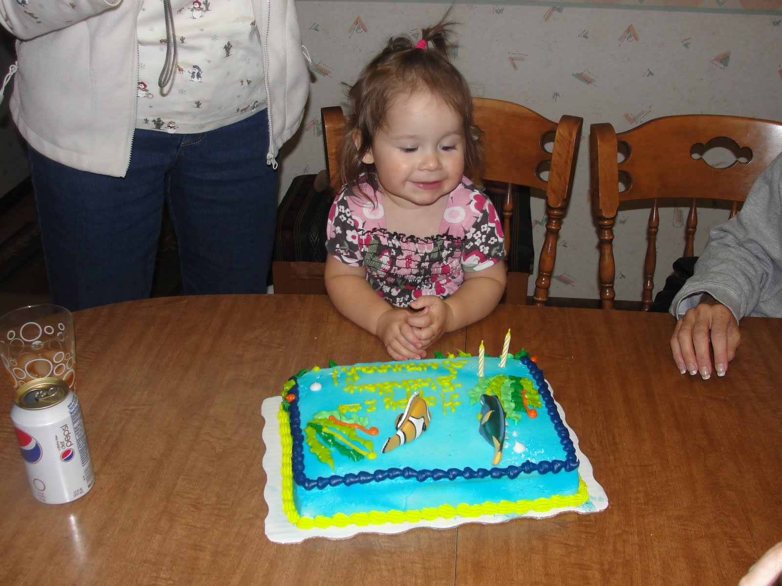 The Hubert Family 7: Happy 2nd Birthday Savannah!