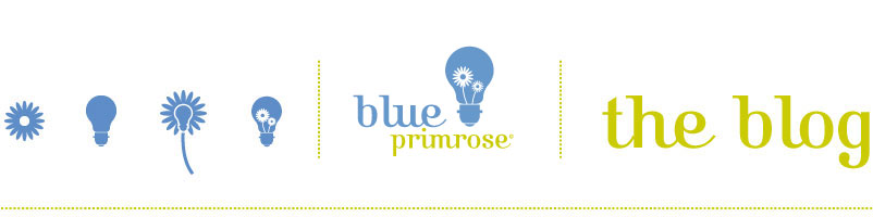 Blue Primrose