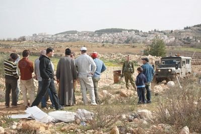 [normal_OPlanting_2009_6_1.jpg]