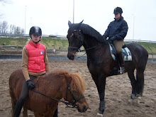 2 van onze eigen paardjes