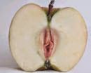 Manzana Deliciosa