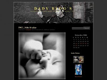 Dady Blog´s en Wordpress (08)