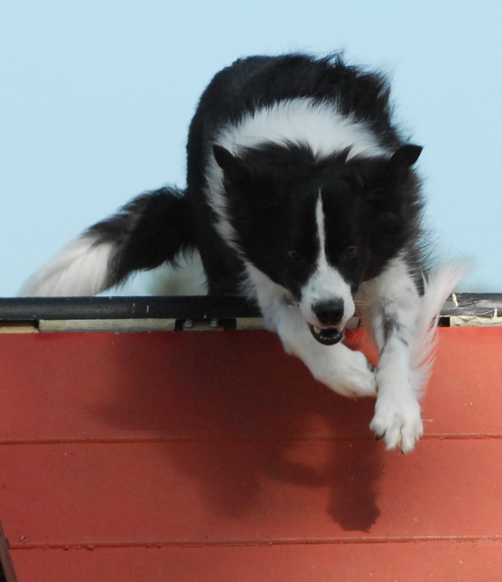 [rave070902-oag-053.jpg]