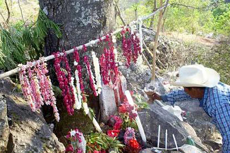 OaxacaThe Year After El Jicaral El Señor de la lluvia