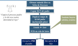 PROCESOS: Creación de procesos en Linux