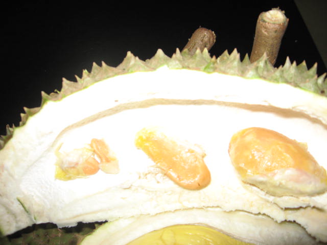 [durian+007.jpg]