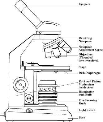 ScienCE BloG: #4 JournaL in SciencE