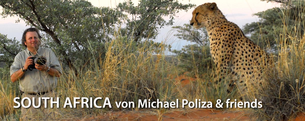 SOUTH AFRICA von Michael Poliza