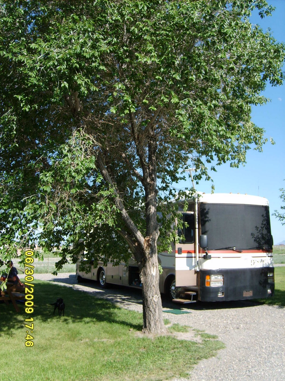 [SD531907.JPG]