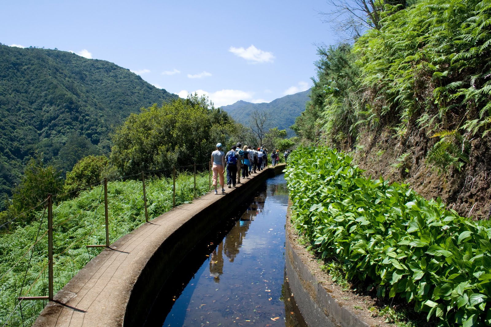 MADEIRA: Levadas