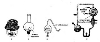 Soal Tentang Asal Usul Kehidupan Biologi