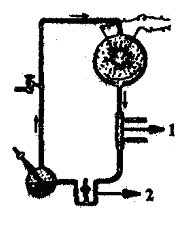 Soal Tentang Asal Usul Kehidupan Biologi
