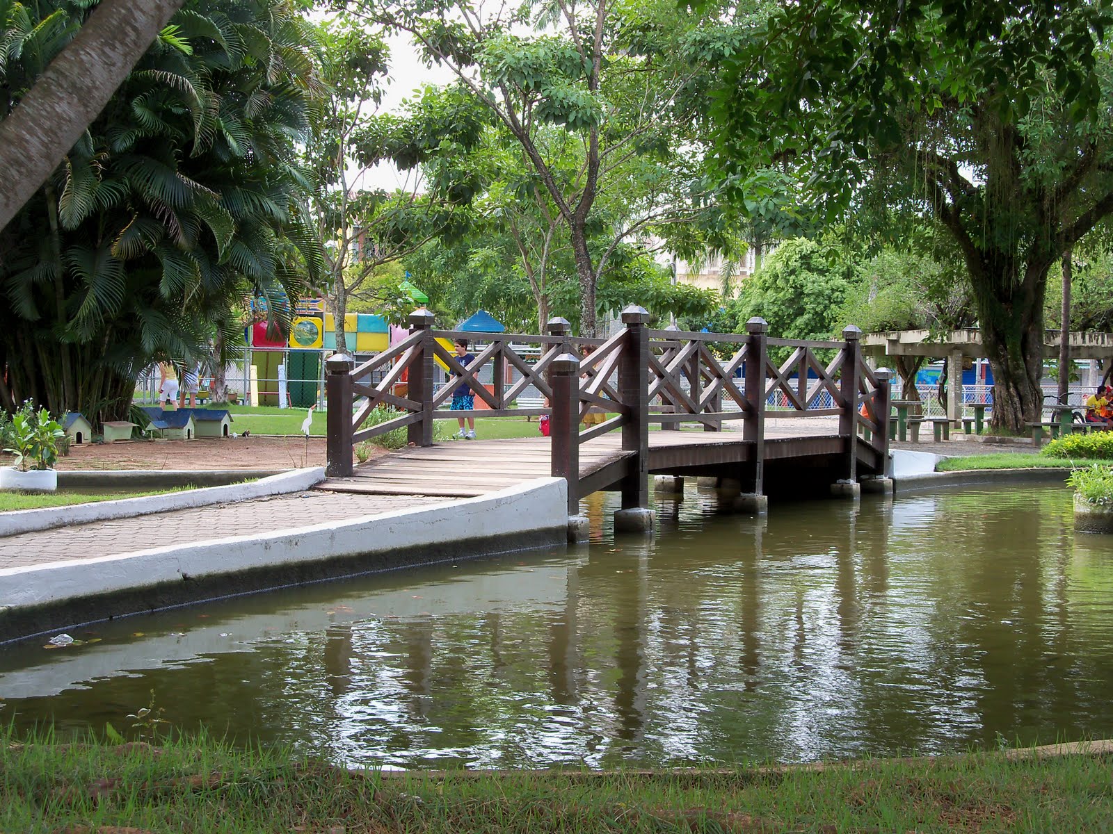 Guia Bellwether Conceição de Macabú