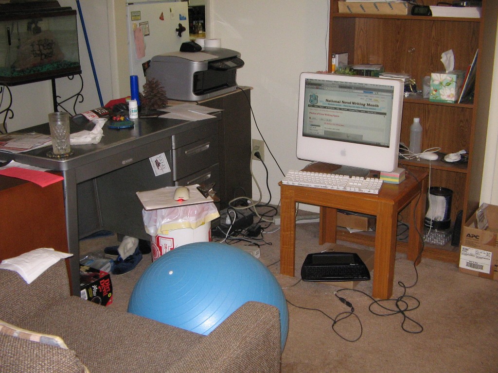 [2009livingroom.JPG]