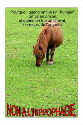 [Tuer+un+cheval.jpg]