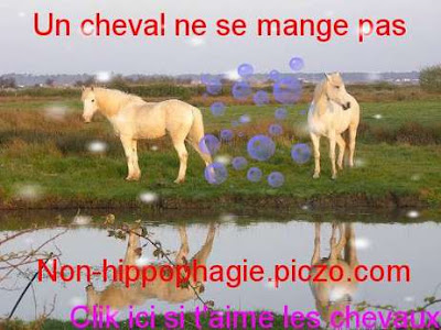 Click+ici.jpg