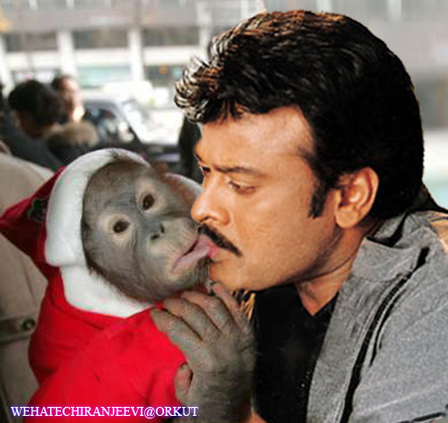 chiruchimpkiss.jpg