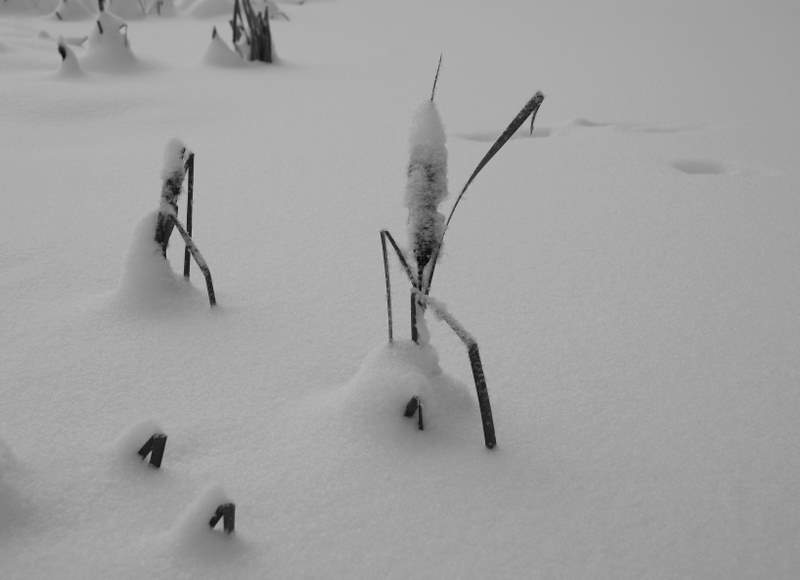 [2010.1.9+(15).JPG]