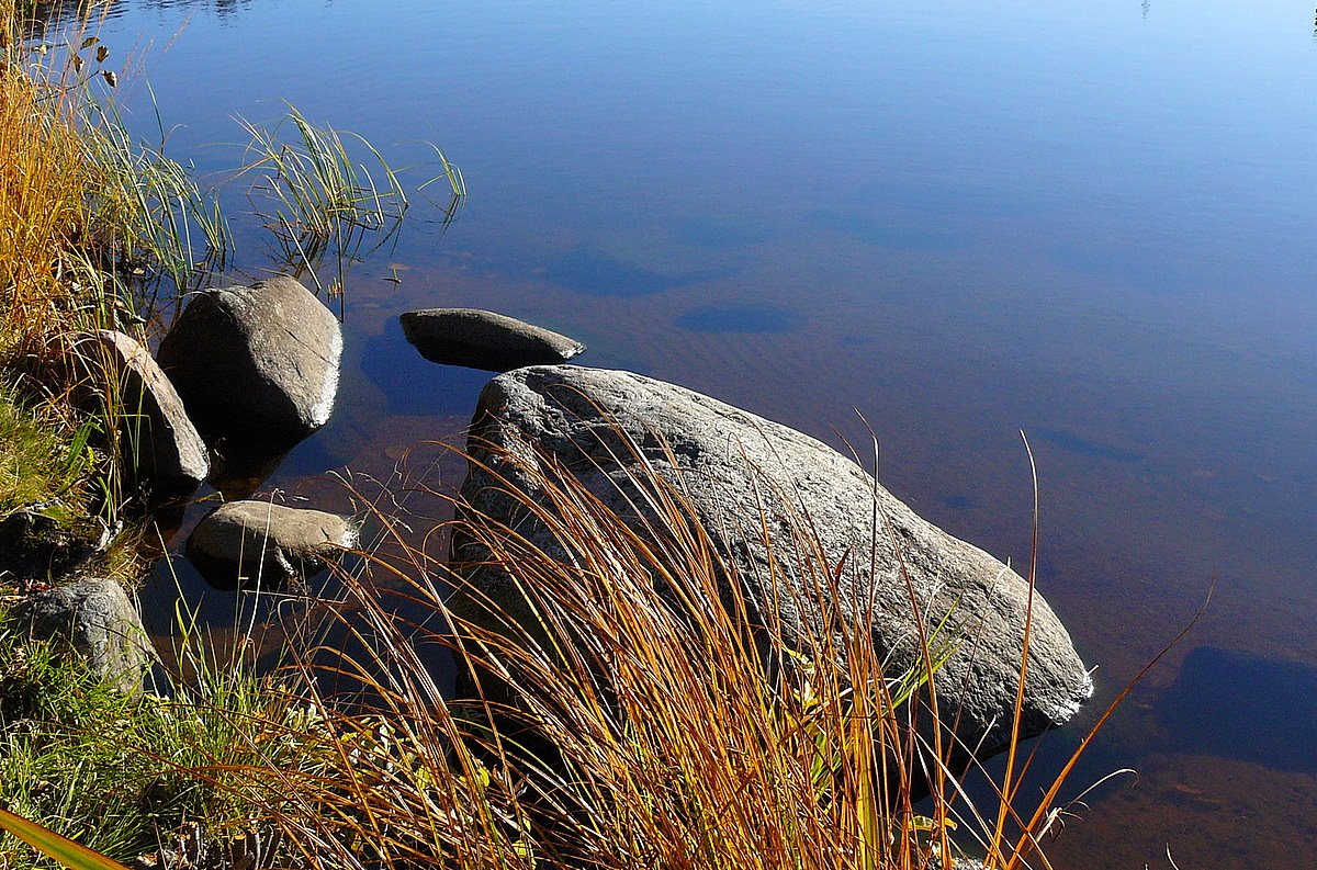 [9.10.2008+Tuomiojärvi+(15).JPG]