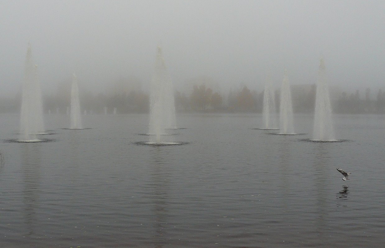 [P1080154.JPG]