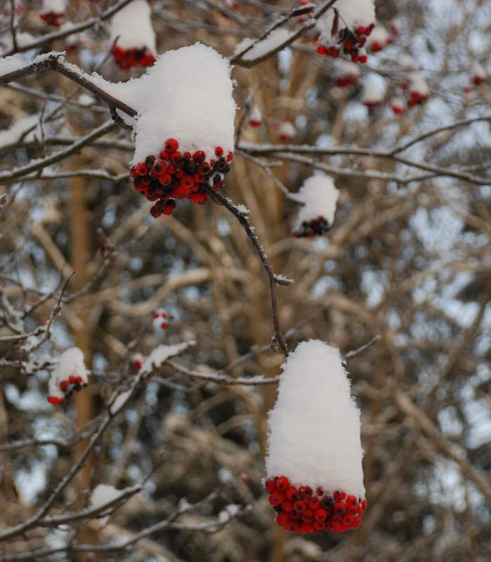 [DSC_0717-1.JPG]