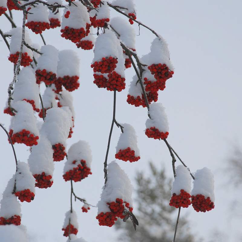 [DSC_0725-1.JPG]