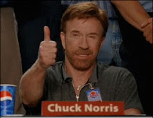 Blog aprovado por Chuck Norris