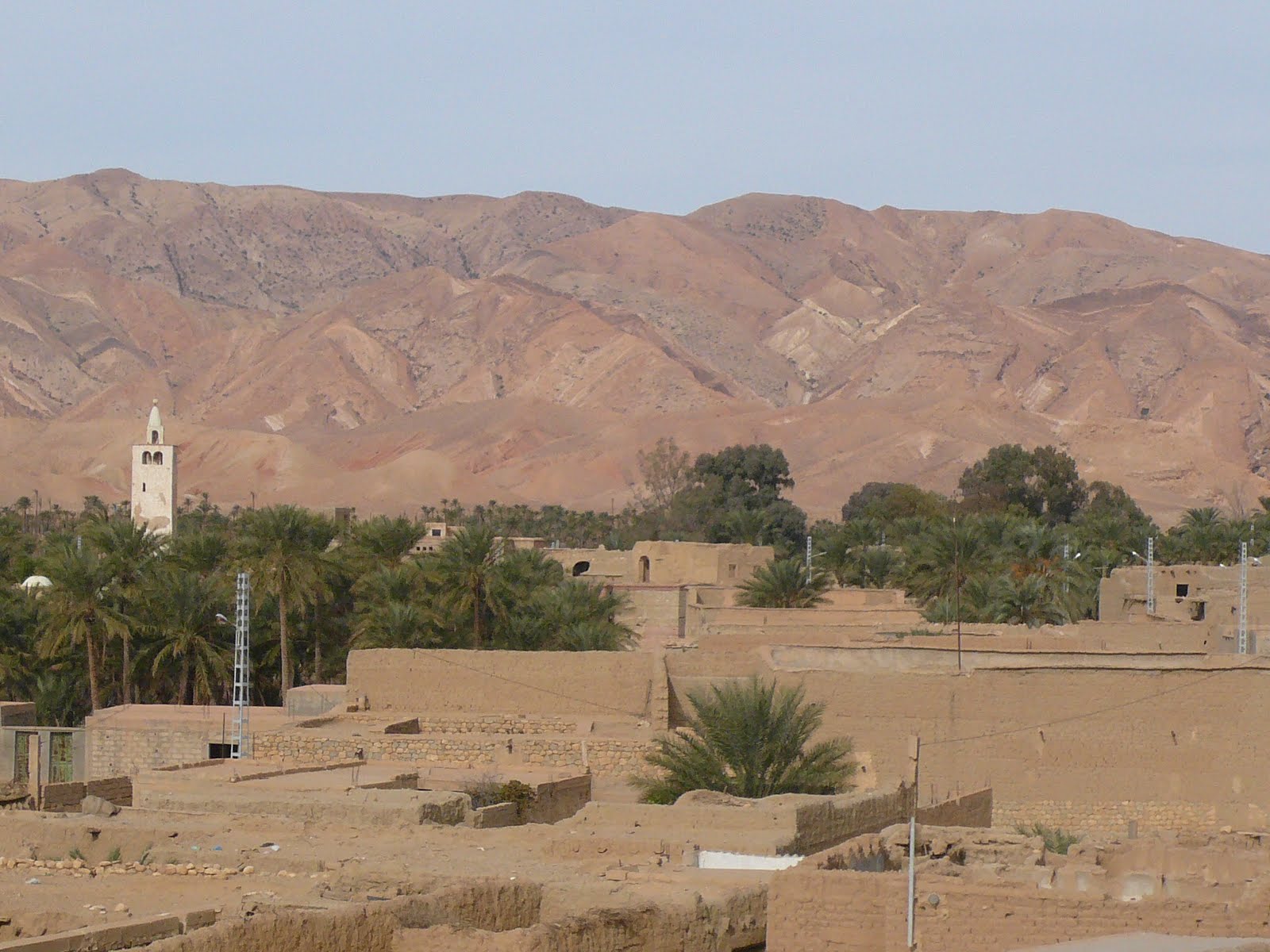 [P1000954.JPG]