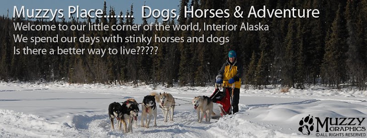 Muzzysplace..... Alaska, Dogs, Horses & Adventure