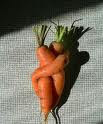 ¡Qué zanahorias!