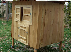 coop chicken ventilation chickens oh clean backyard dandy 6x4 handy been winterization