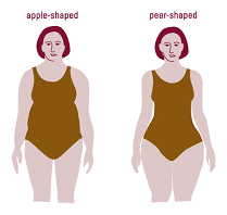 [apple-pear-bodies.gif]